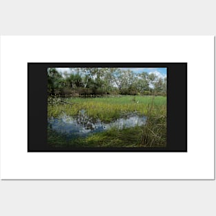 Cockatoo Lagoon, Northern Territory Posters and Art